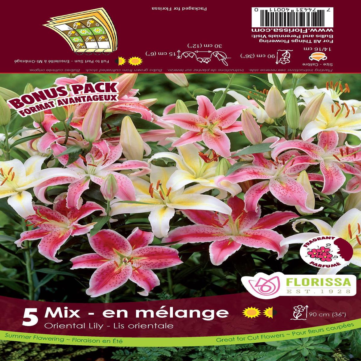 O/T Mp Lilies Oriental Mixed 5/PK
